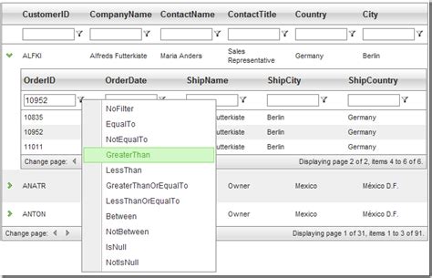 Telerik Web UI Grid Master/Detail Grids Demo .